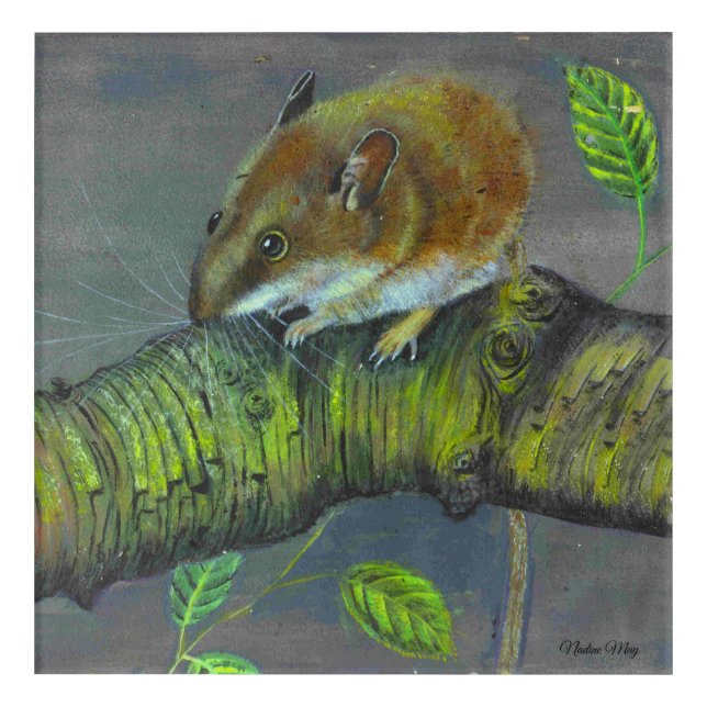 Original illustration of a field mouse  acrylic pr print (Front)
