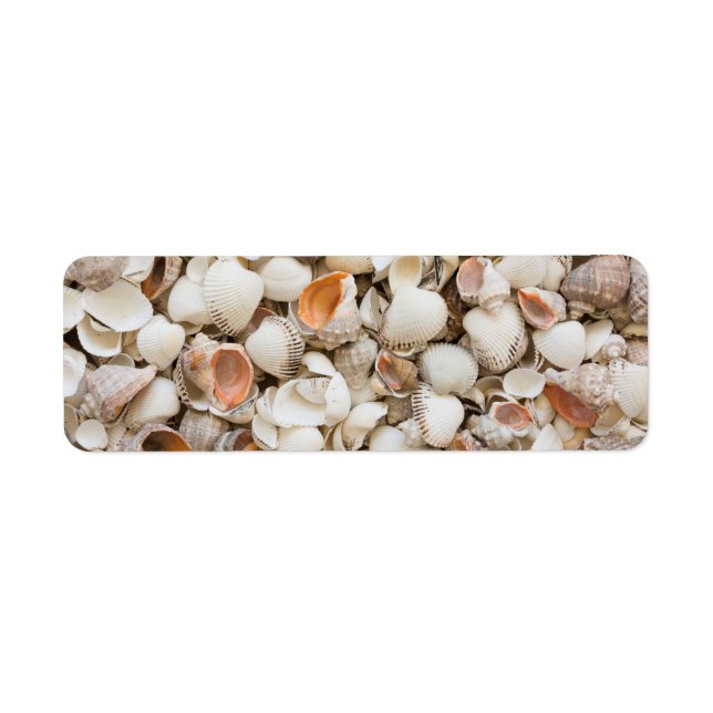 Original nature pattern Seashell style background Label (Front)