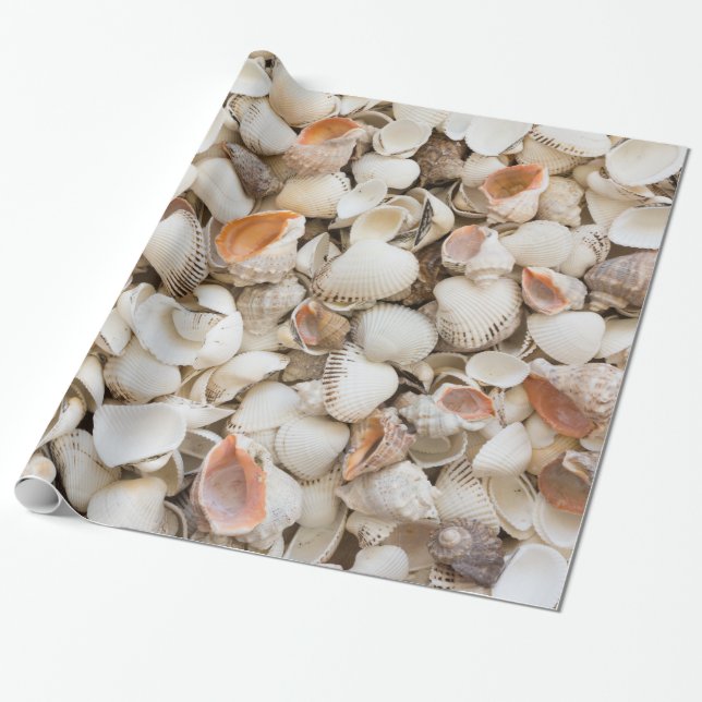 Original nature pattern Seashell style background Wrapping Paper (Unrolled)