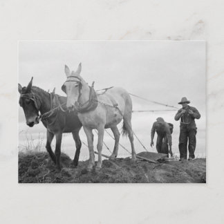 Original Organic Gardening, Old Farm Postcard