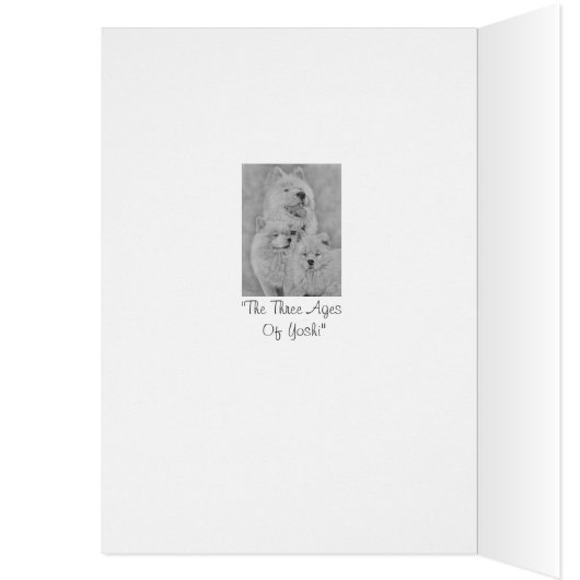 original painting of very cute dog (Inside (Left))