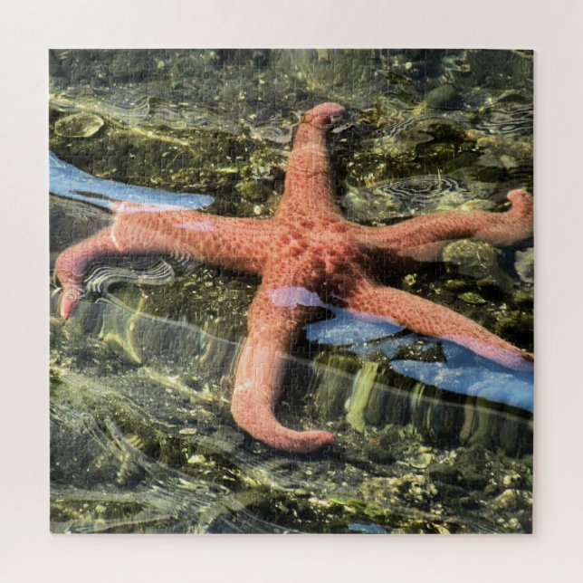 Original Photograph of Starfish under Water Jigsaw Puzzle (Vertical)