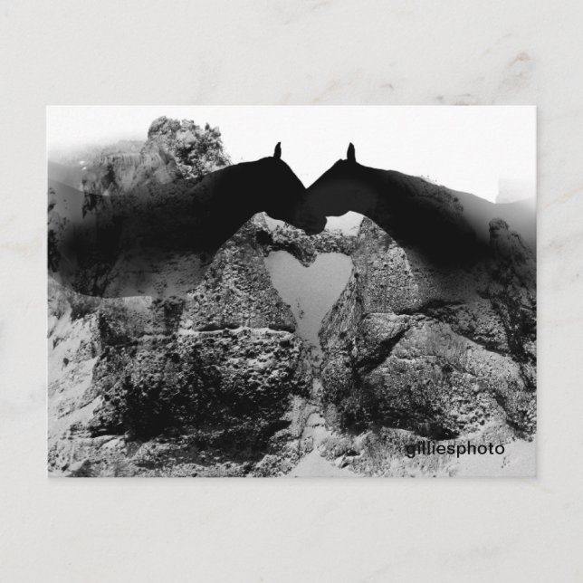 Original postcards (Front)