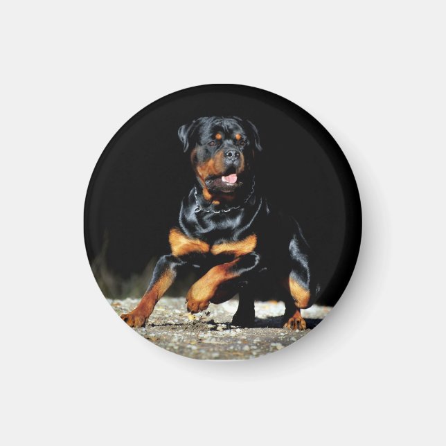 Original Rottweiler Magnet (Front)