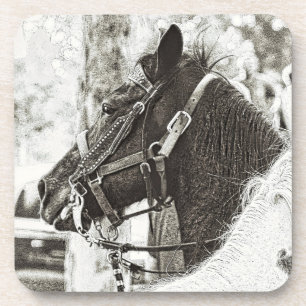 Original stylized black & white graphic art horse beverage coaster