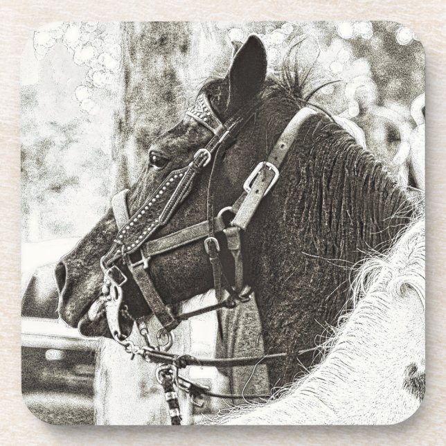 Original stylized black & white graphic art horse beverage coaster (Front)