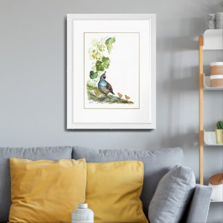 Original Watercolor Art California Quail Family Framed Art
