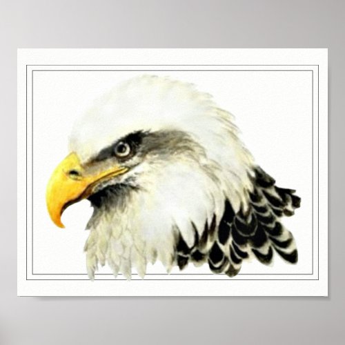 Original Watercolor Bald Eagle Bird Nature Art Poster