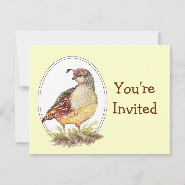 Original Watercolor California Quail Bird Invites (Front)