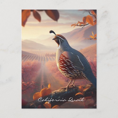Original Watercolor California Quail Bird Postcard