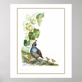 Original Watercolor California Quail Family Grapes Poster