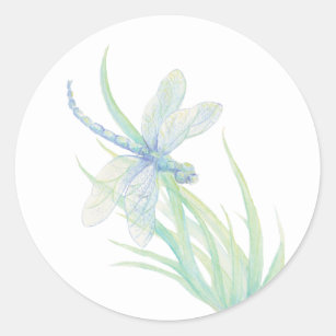 Original Watercolor Dragonfly in Blue and Green Classic Round Sticker