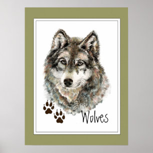Original Watercolor Grey Wolf- Tracks Animal Poster