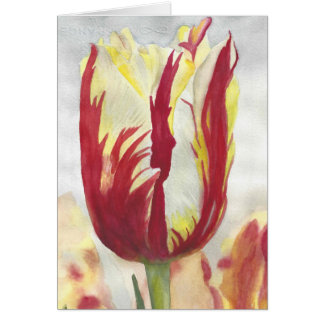 Original watercolor red and yellow tulip card