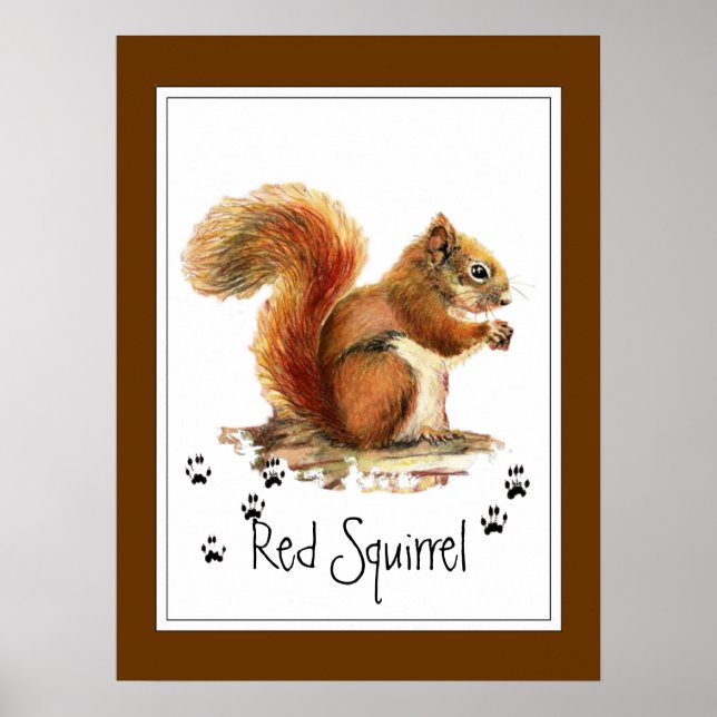 Original Watercolor Red Squirrel Tracks Animal Poster (Front)
