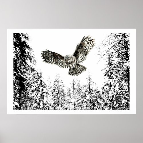 Original Watercolor Striking or Hunting Owl Bird Poster