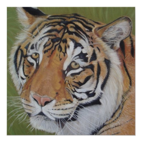 original wildlife painting portrait of tiger poster