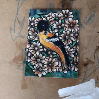 Oriole Bird Art bird watching designs watercolor   Postcard