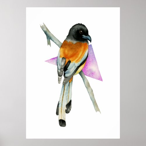 Oriole Bird Watercolor Painting Fine Art Poster
