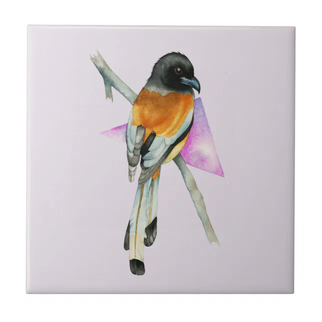 Oriole Bird with Triangle Watercolor Painting Ceramic Tile | Zazzle