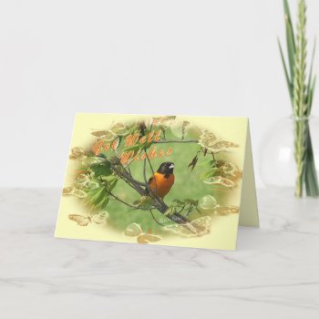 Oriole Get Well-customize Card by MakaraPhotos at Zazzle
