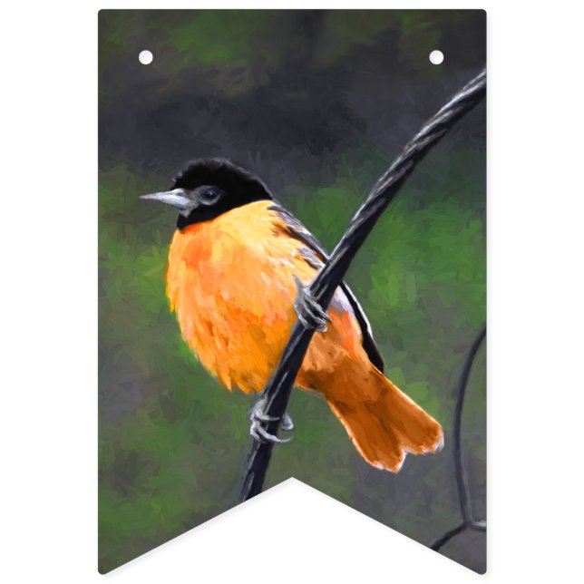 Browse thousands of Orioles images for design inspiration