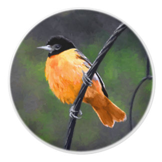 Oriole Painting - Original Bird Art Ceramic Knob