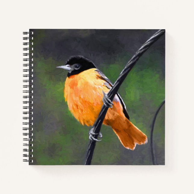 Oriole Painting - Original Bird Art Notebook (Front)
