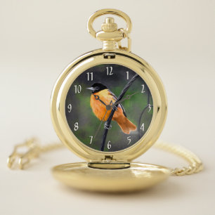 Oriole Painting - Original Bird Art Pocket Watch