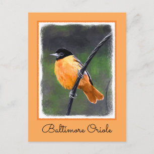 Oriole Painting - Original Bird Art Postcard