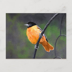 Oriole Painting - Original Bird Art Postcard