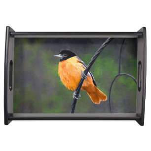 Oriole Painting - Original Bird Art Serving Tray