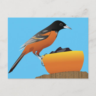 Oriole Postcard