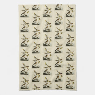 Orioles, Thrushes, from Audubon's Birds of America Kitchen Towel