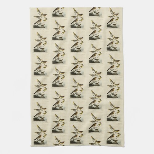 Orioles Thrushes from Audubons Birds of America Kitchen Towel