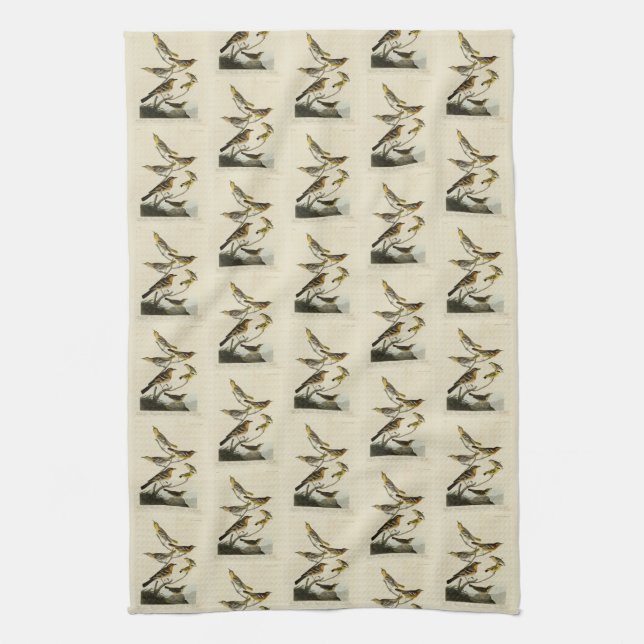 Orioles, Thrushes, from Audubon's Birds of America Kitchen Towel (Vertical)