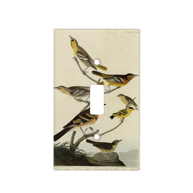 Orioles, Thrushes, from Audubon's Birds of America Light Switch Cover (Front)