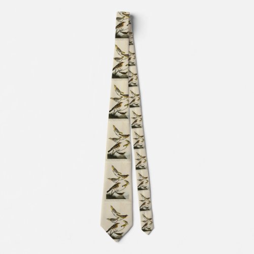 Orioles Thrushes from Audubons Birds of America Neck Tie