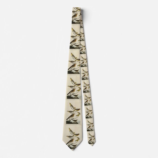 Orioles, Thrushes, from Audubon's Birds of America Neck Tie (Front)