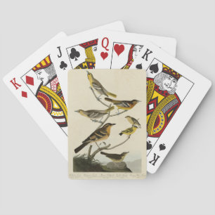Orioles, Thrushes, from Audubon's Birds of America Poker Cards