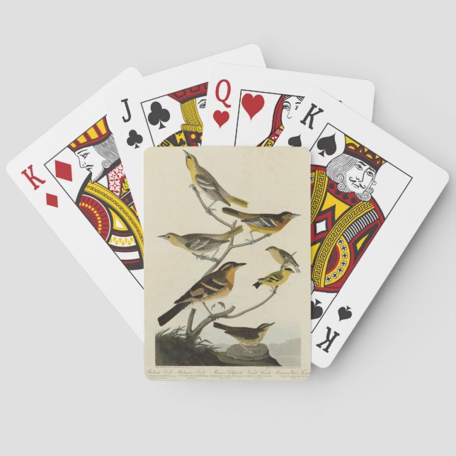 Orioles, Thrushes, from Audubon's Birds of America Poker Cards (Back)