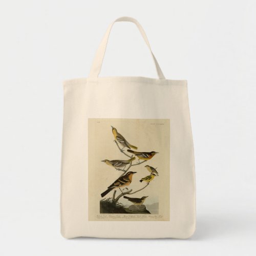 Orioles Thrushes from Audubons Birds of America Tote Bag