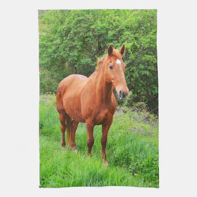 Orion Kitchen Towel (Vertical)