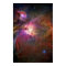 Orion Nebula (Hubble Telescope)