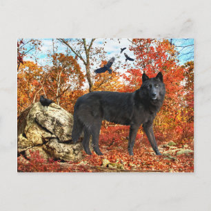 "Orion & The Crows" Postcard