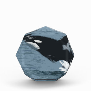 Orka Whale Acrylic Award
