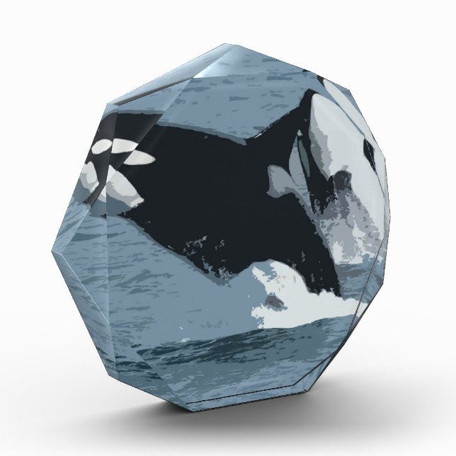 Orka Whale Award (Left)