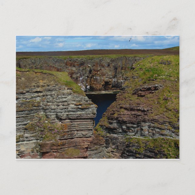 Orkney Cliffs Postcard (Front)