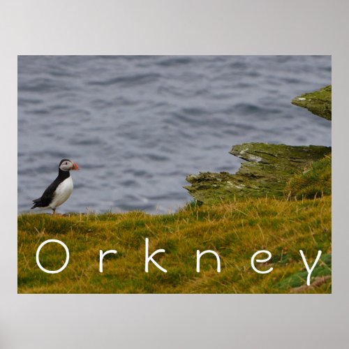 Orkney Puffin Poster