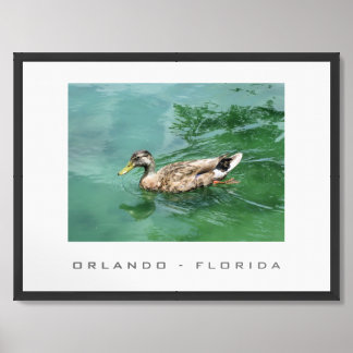 Orlando Florida Duck Travel Poster